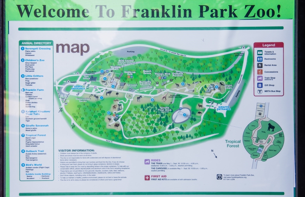 35 Eldridge Road, Unit 202 Boston, MA 02130 - Photo 29 of 31