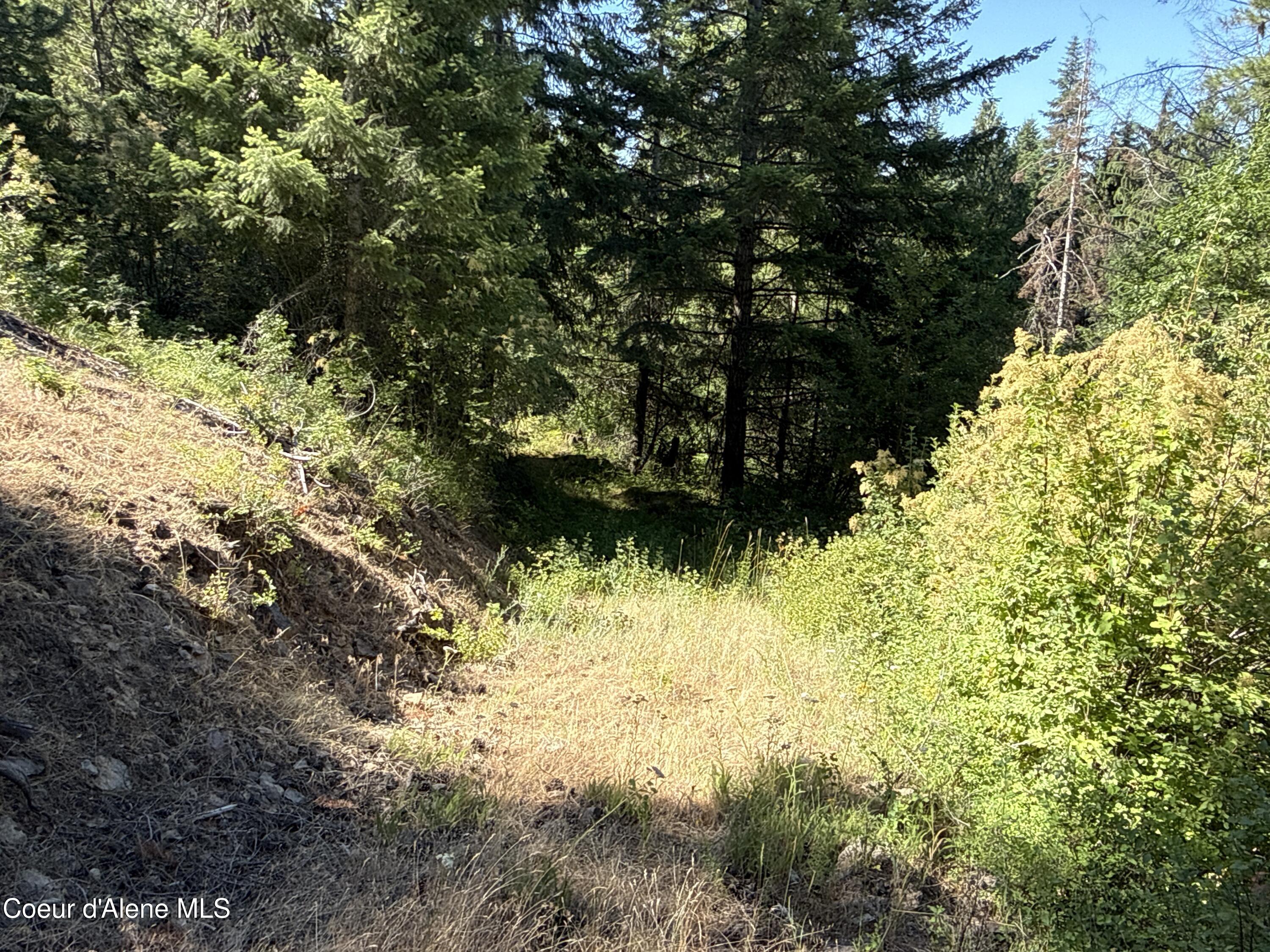 Nka North Rising Star Road Hayden, ID 83835 - Photo 19 of 31 19