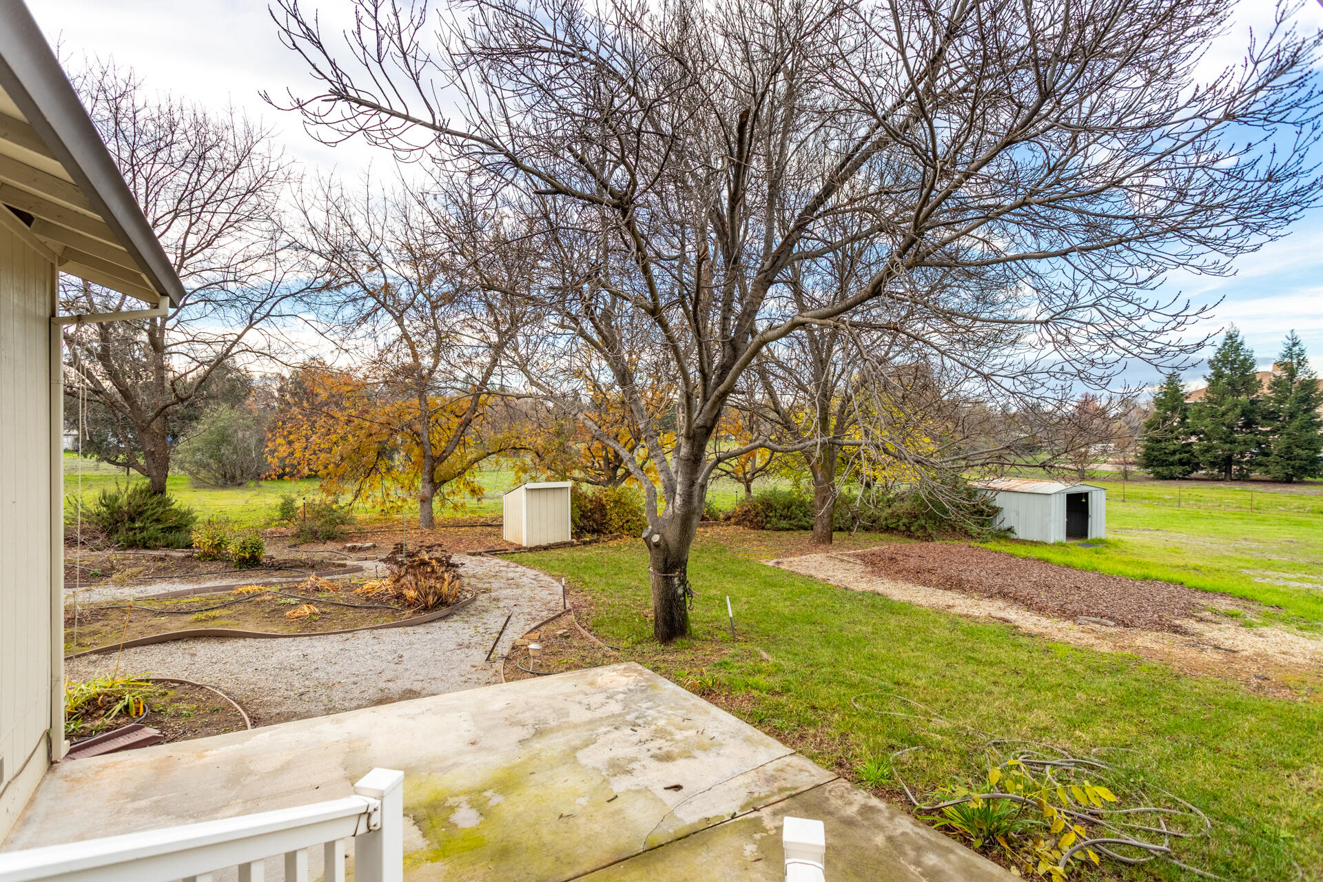 6766 Drake Drive Anderson, CA 96007 - Photo 14 of 44 a view of yard with tree