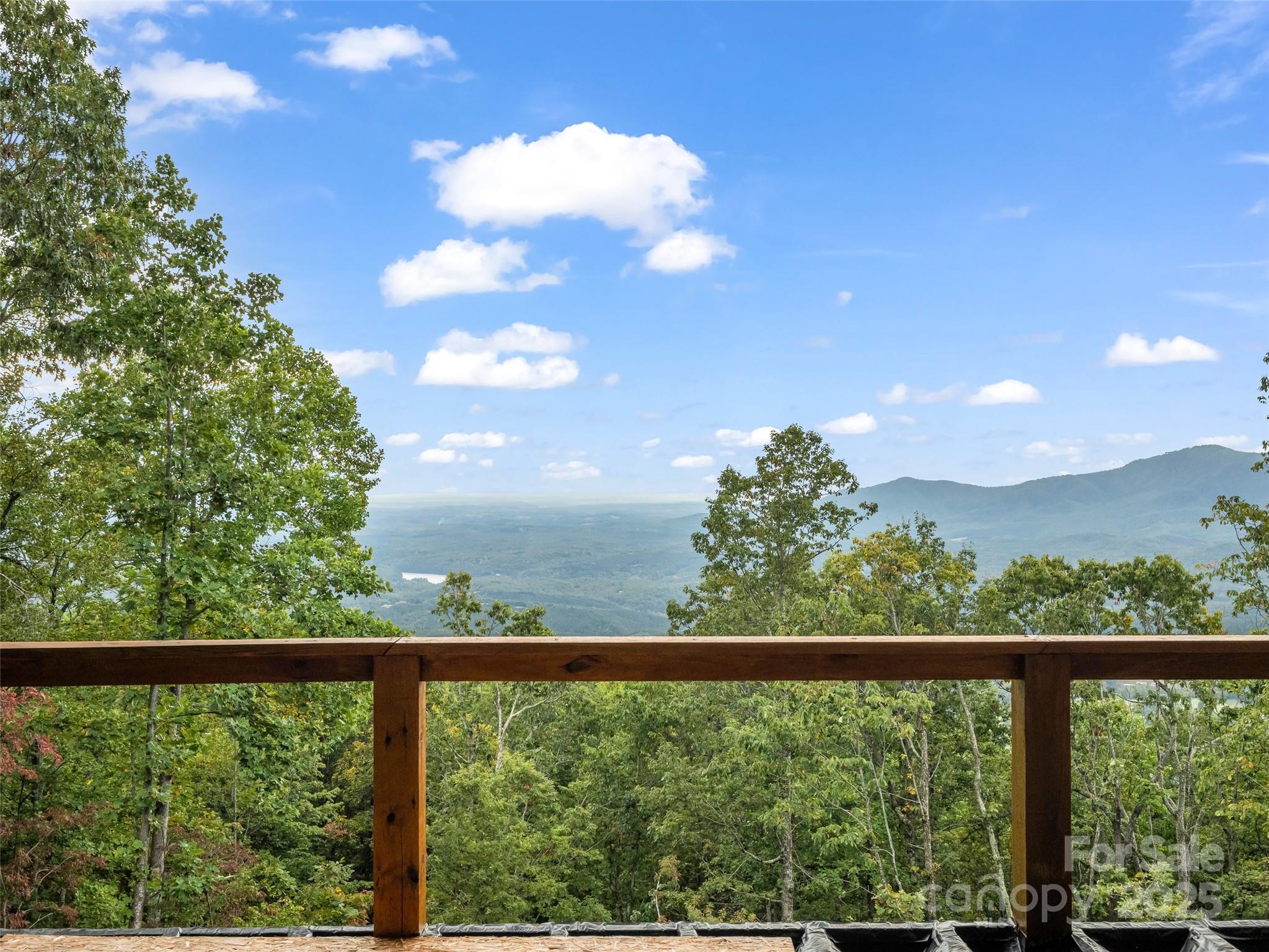 93 Chesterfield Drive Mill Spring, NC 28756 - Photo 23 of 48 a view of city with green space