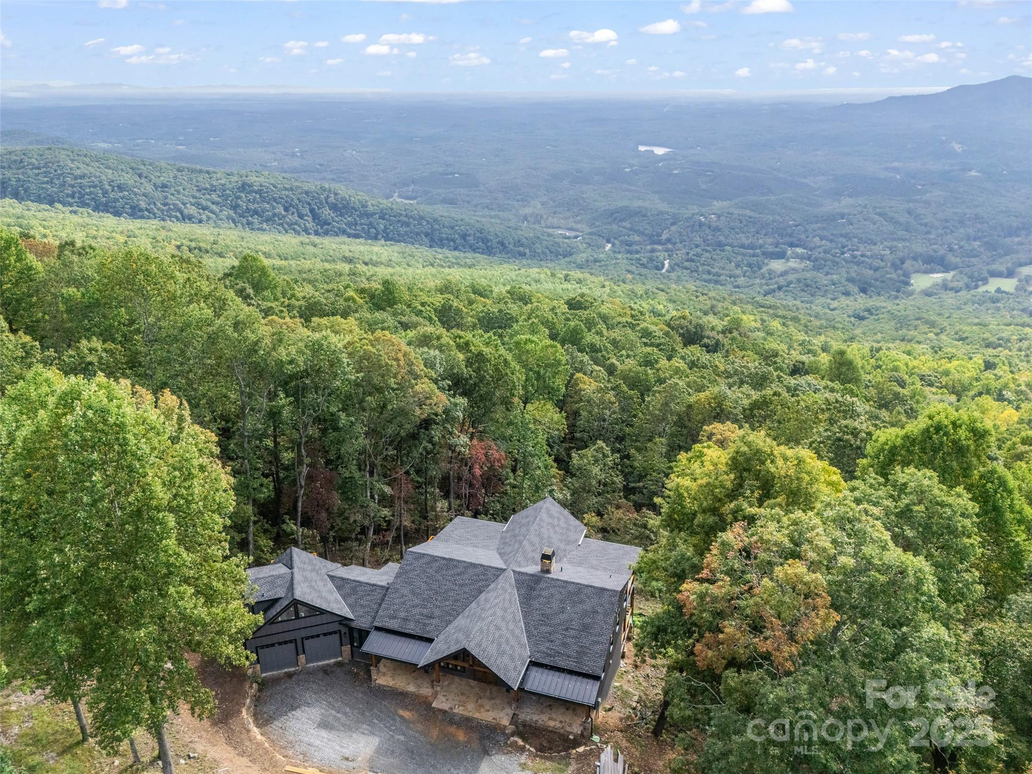 93 Chesterfield Drive Mill Spring, NC 28756 - Photo 46 of 48 a view of a backyard