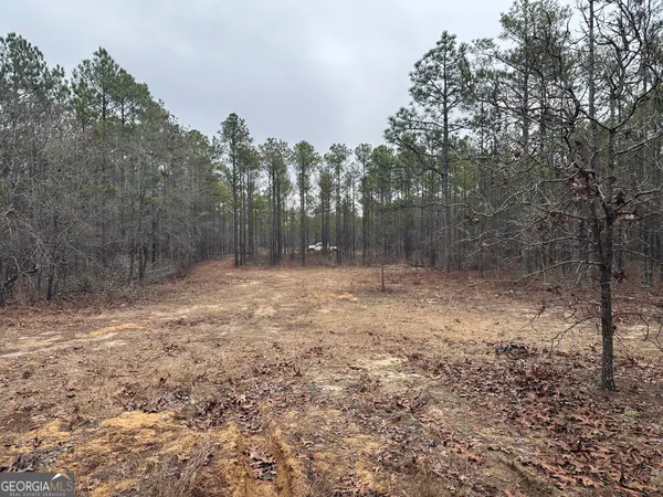 a view of a yard with trees in the background