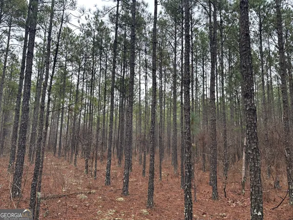 a view of lots of trees