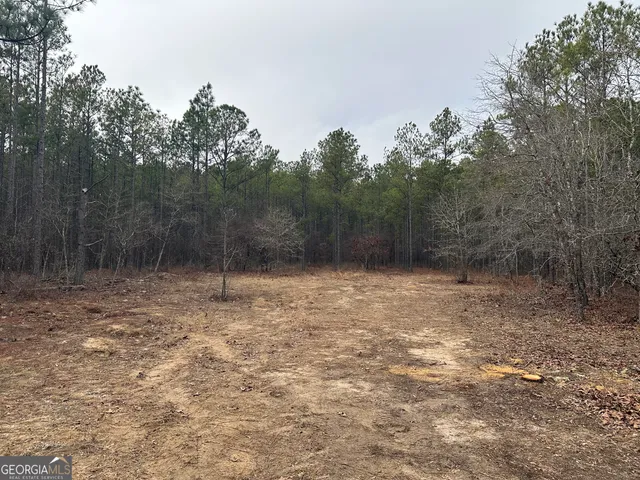 a view of a yard with a tree