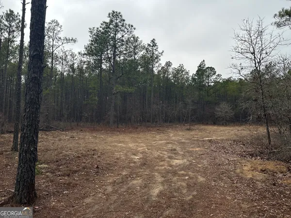 a view of a yard with trees