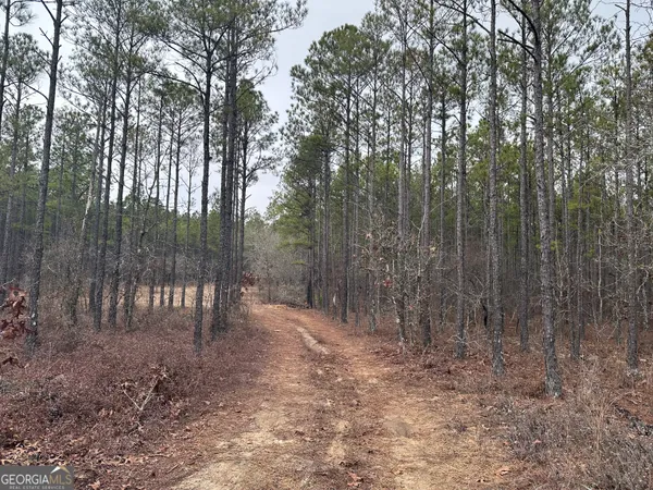 a view of outdoor space with lots of trees