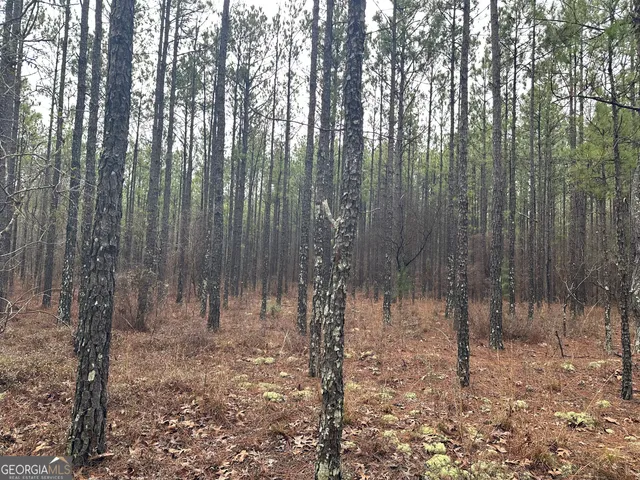 a view of outdoor space with lots of trees