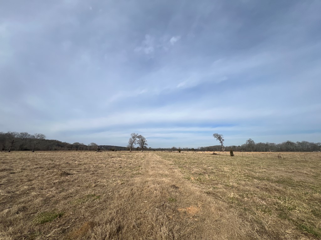 0 Taylor Bridge Road Southwest Calhoun, GA 30701 - Photo 3 of 26 Gallery Image 3