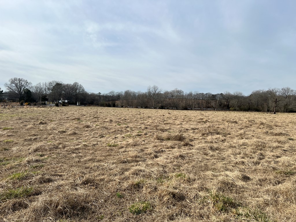0 Taylor Bridge Road Southwest Calhoun, GA 30701 - Photo 4 of 26 Gallery Image 4
