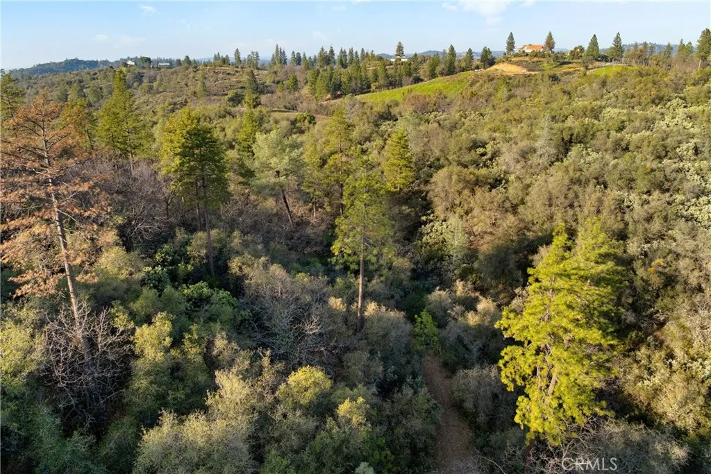 1 Ridge View Drive Sutter Creek, CA 95685 - Photo 16 of 25 Gallery Image 16
