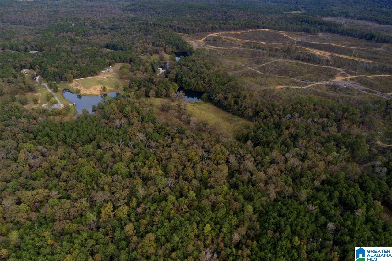 Serene Lake Road, Unit 8471 McCalla, AL 35111 - Photo 4 of 30