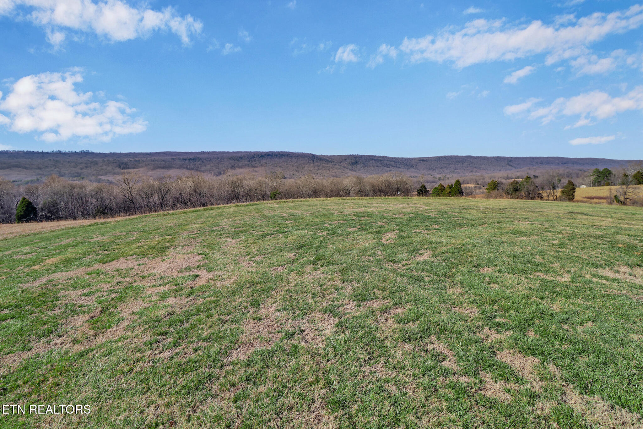 505 Trentham Road Spring City, TN 37381 - Photo 4 of 33 if1a8254-if1a8258