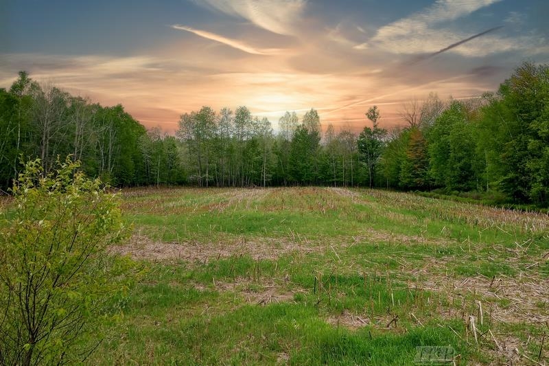 58-acres Northeast County Line Road Coleman, MI 48618 - Photo 1 of 45