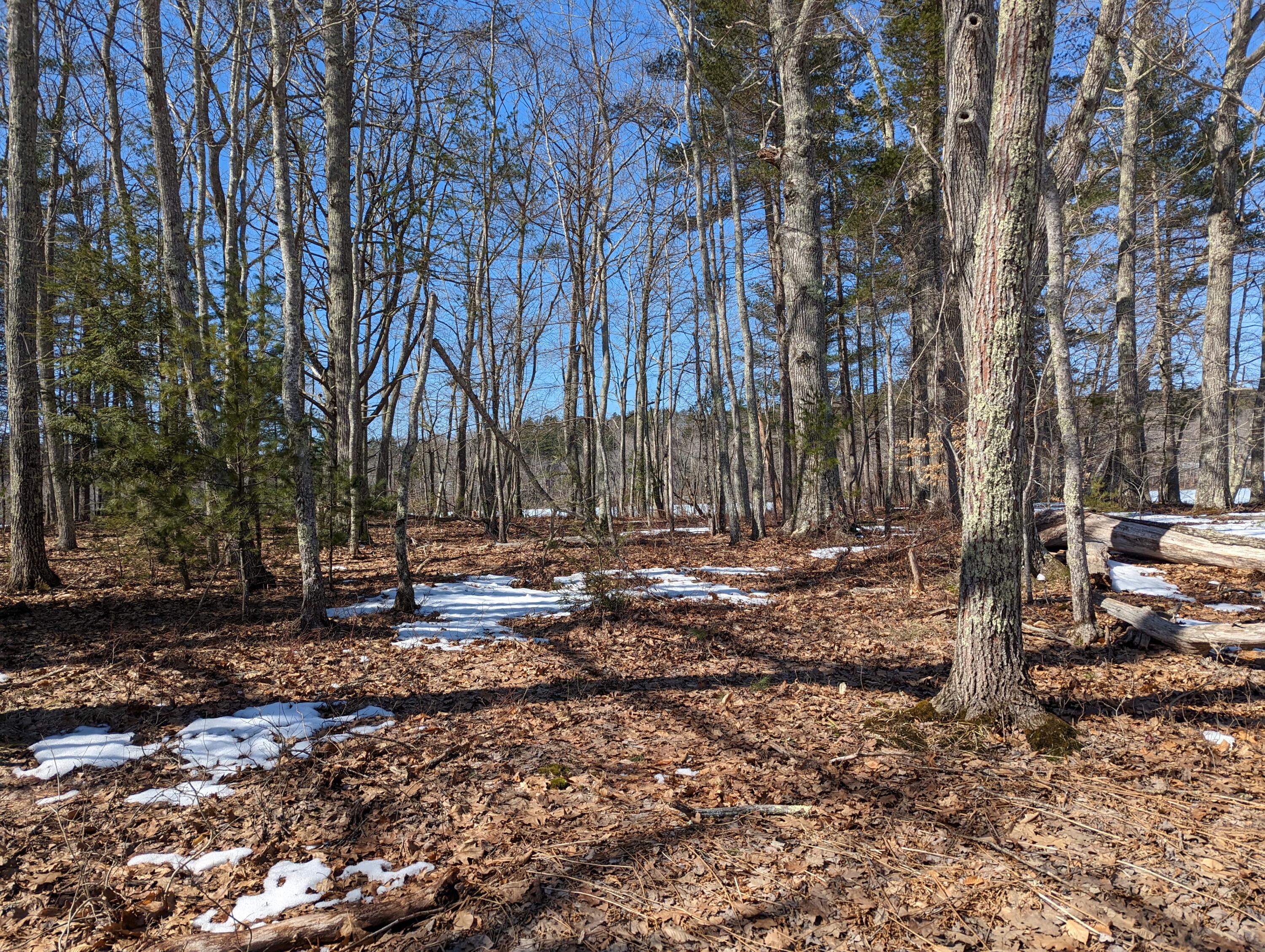 2 Sennebec Road Union, ME 04862 - Photo 11 of 17 PXL_20230322_155019393.MP
