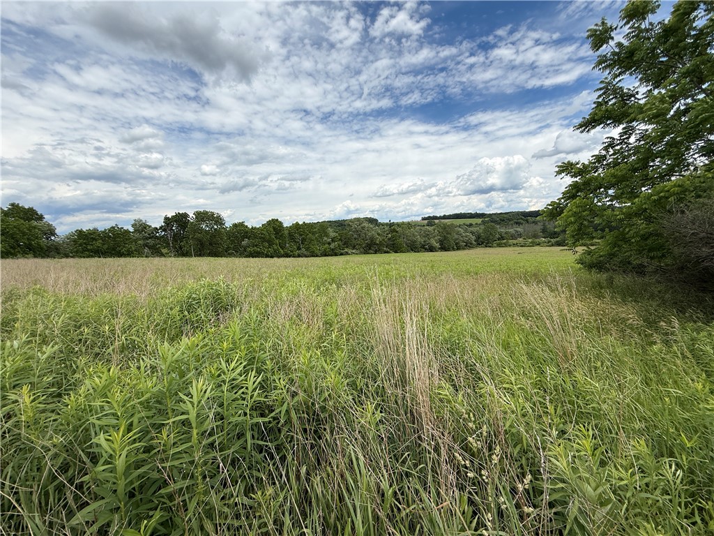 Tucker Road Ithaca, NY 14850 - Photo 26 of 35