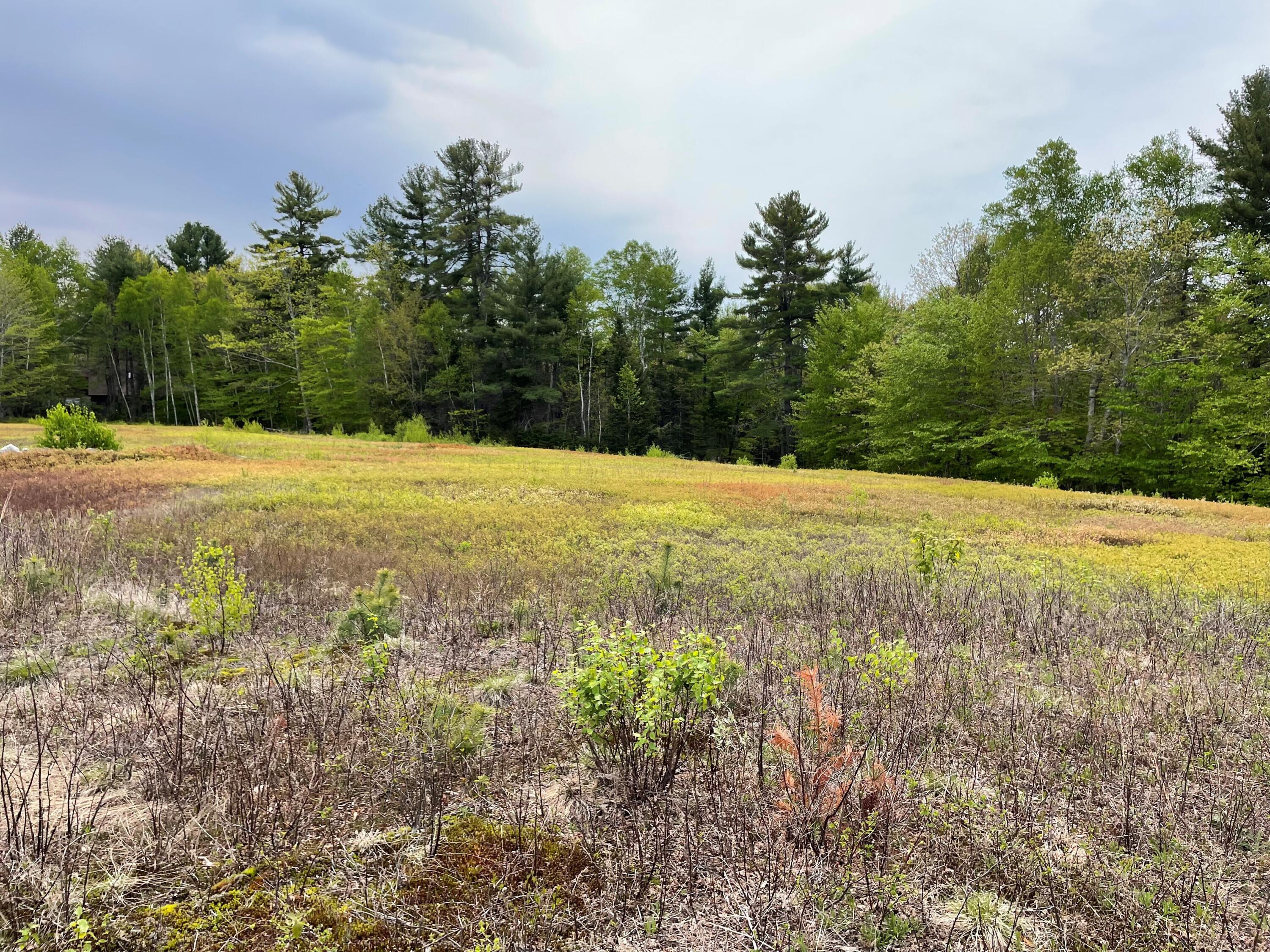 0 Point Road Ellsworth, ME 04605 - Photo 3 of 4 03