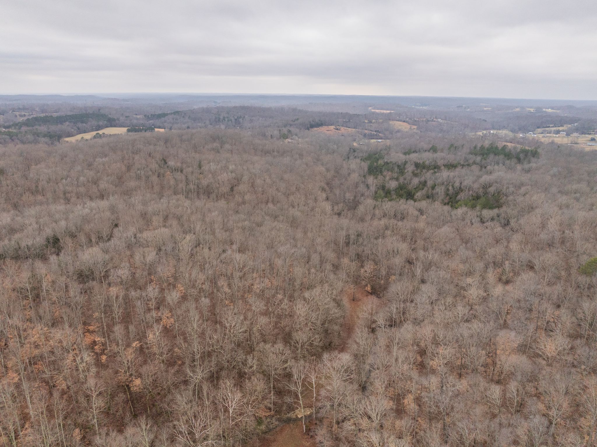 0 Wiley Branch Road Dickson, TN 37055 - Photo 25 of 27