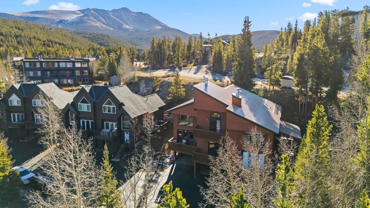 1682 Boreas Pass Road, Unit C Breckenridge, CO 80424 - Photo 48 of 50 Townhome with Baldy Mtn behind