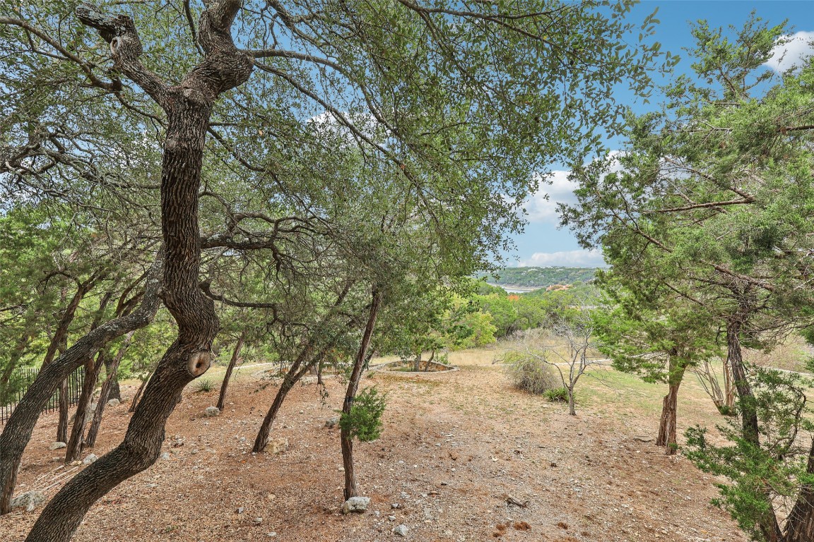 7229 Trident Jonestown, TX 78645 - Photo 27 of 34 a view of a yard with plants and trees