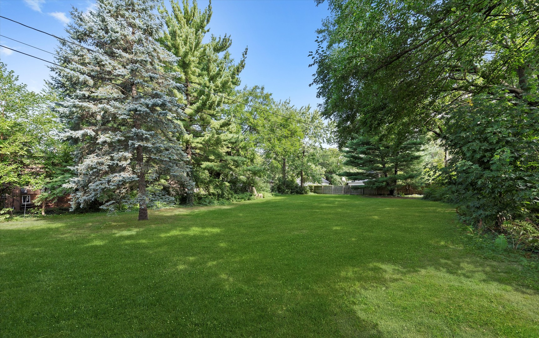 229 Country Club Road Chicago Heights, IL 60411 - Photo 27 of 31 a view of a grassy field with trees