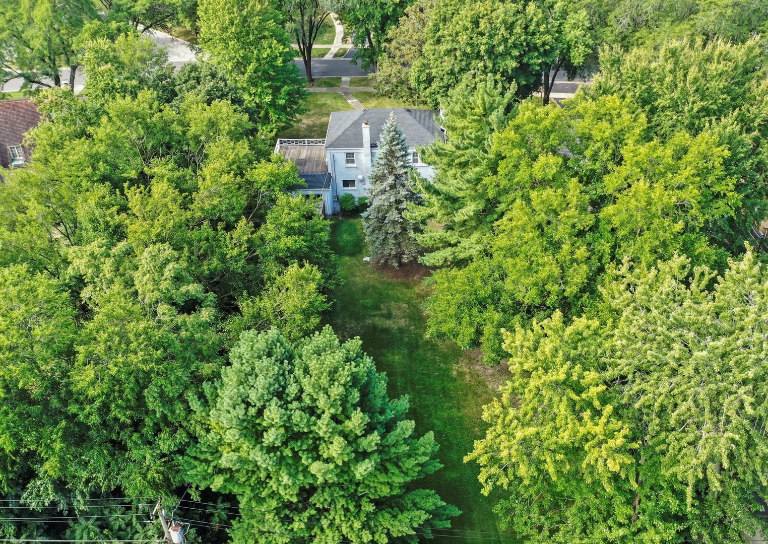 229 Country Club Road Chicago Heights, IL 60411 - Photo 28 of 31 a view of a house with a lush green forest