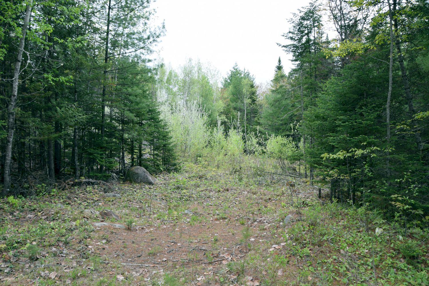 1a Halls Bridge Road Canaan, ME 04924 - Photo 12 of 44 Lot 5