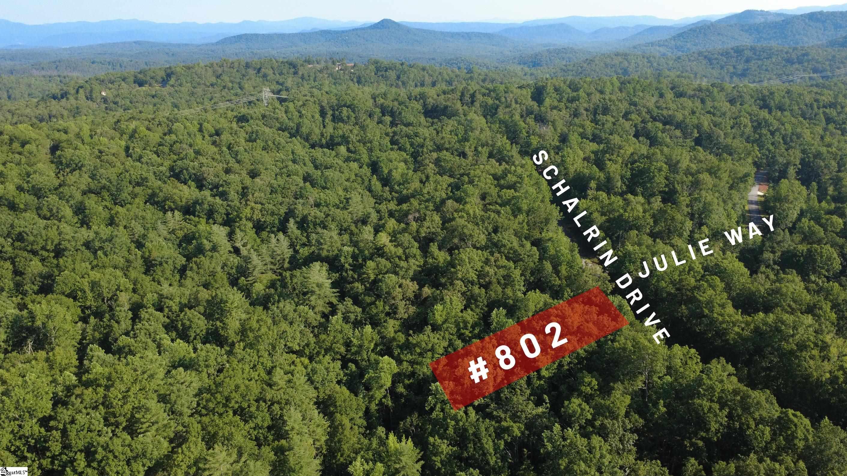 802 Scharlin Drive Pickens, SC 29671 - Photo 5 of 29