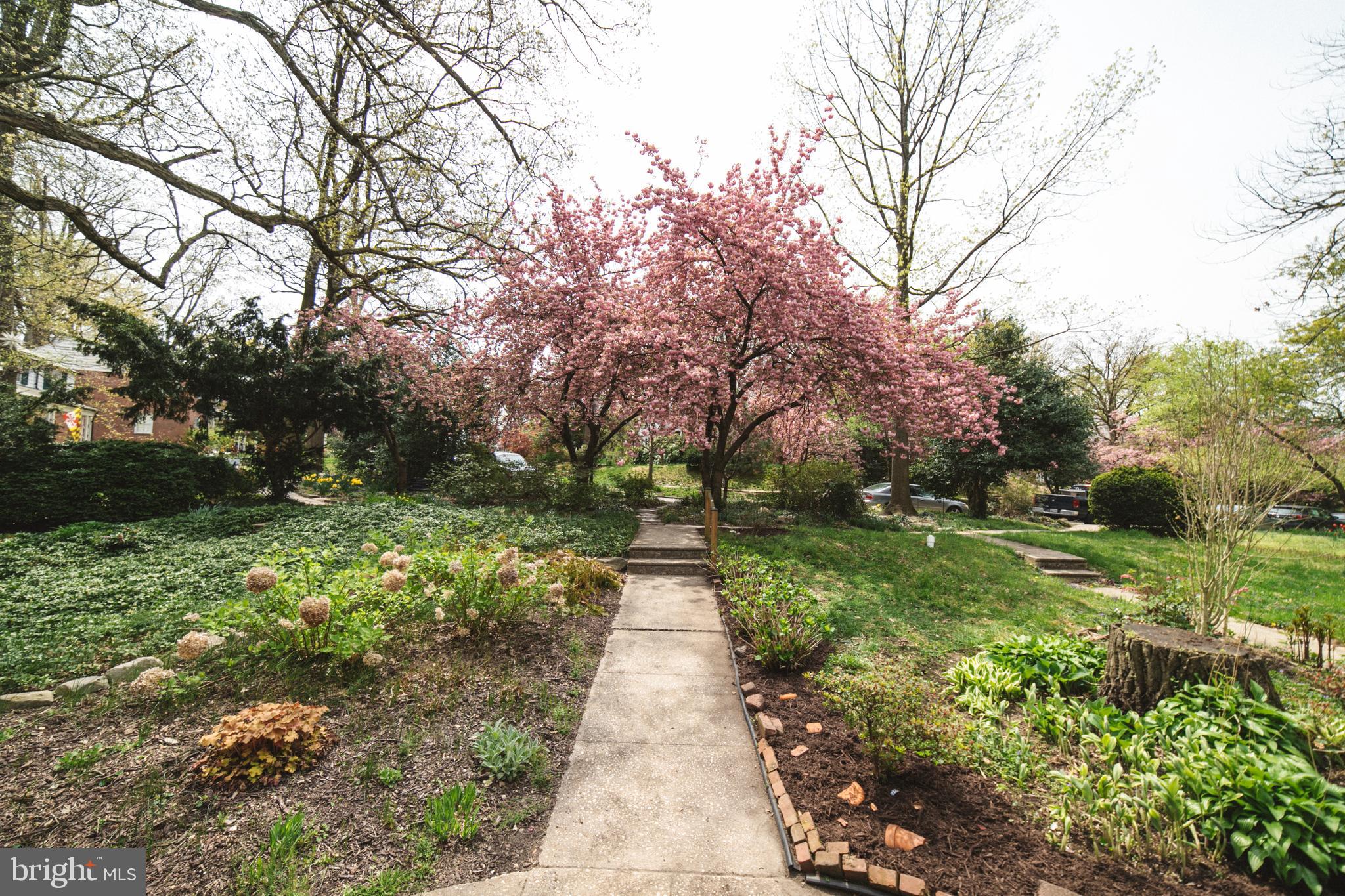 1332 Northview Road Baltimore, MD 21218 - Photo 2 of 30 Beautiful Setting in Baltimore's Northwood Commun.