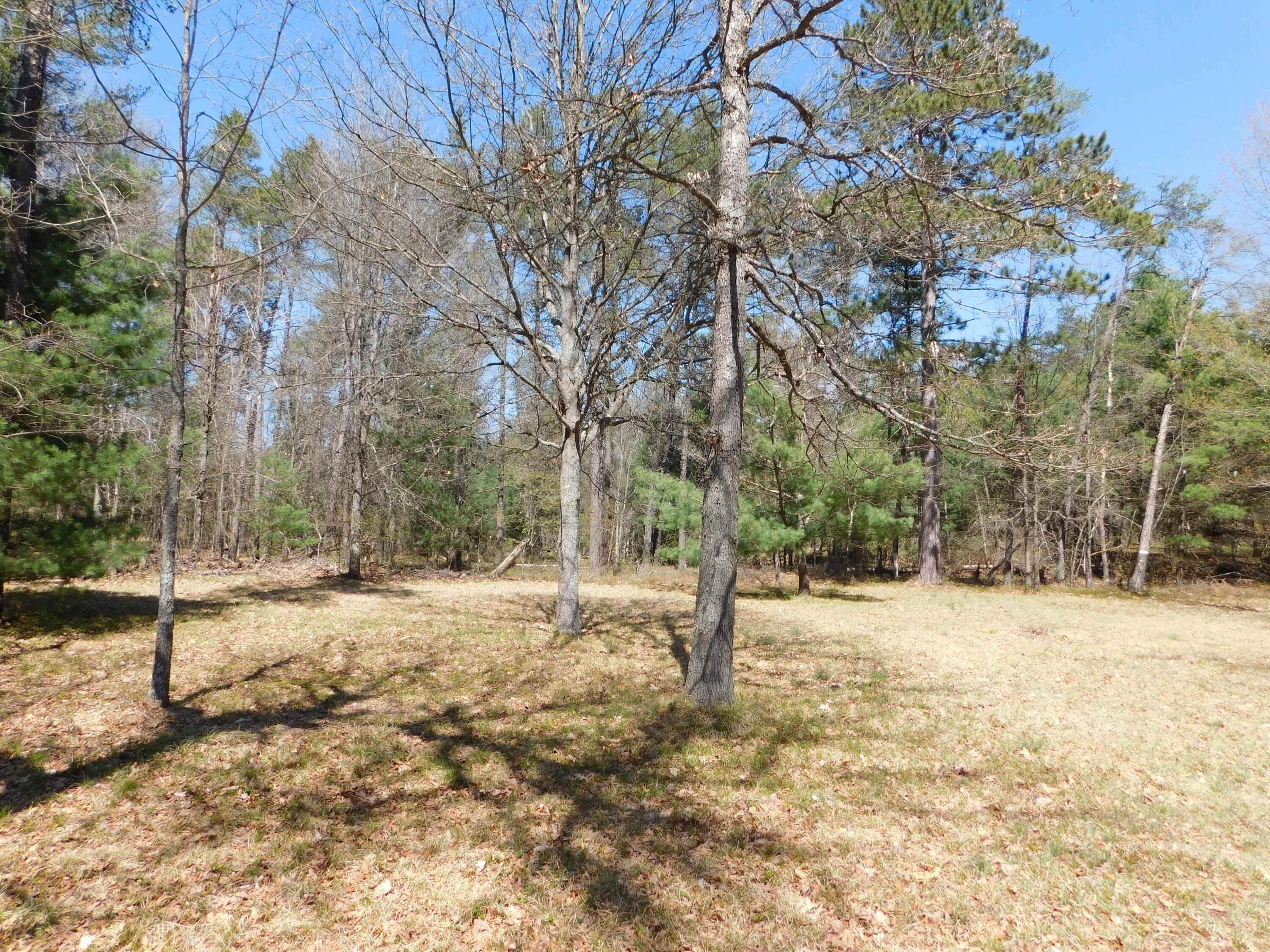 430 East Pere Cheney Road Roscommon, MI 48653 - Photo 53 of 59 Gallery Image 53