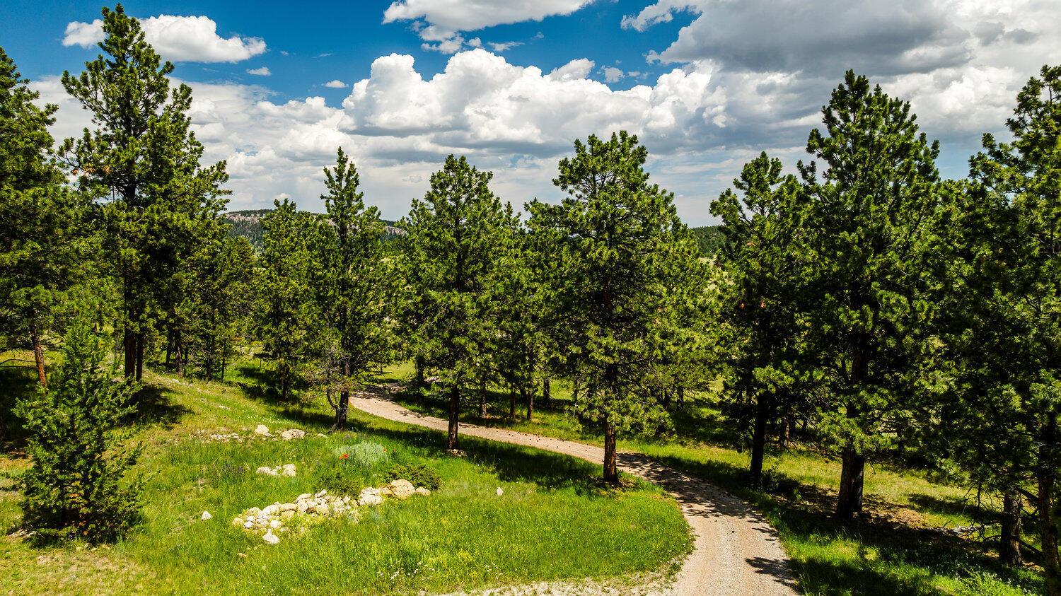 596 Billy Creek Road Buffalo, WY 82834 - Photo 43 of 51 49
