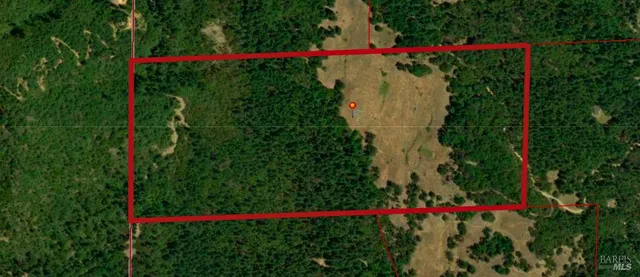 a view of a sign in front of flowers