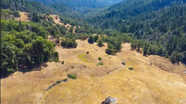 a view of a yard covered in snow
