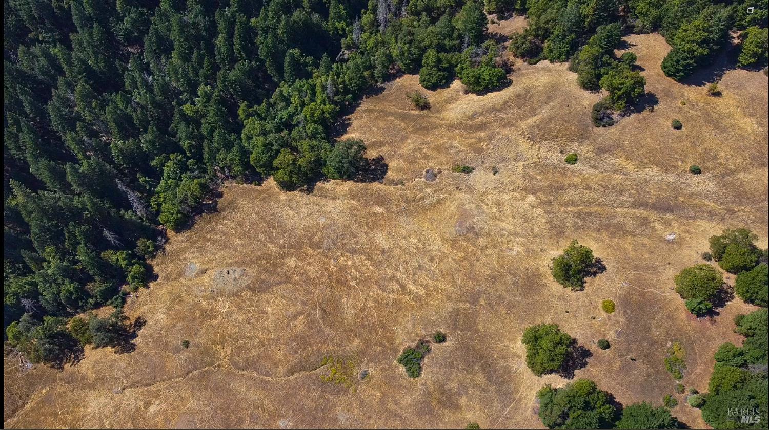 25645 18 N 34 Road Potter Valley, CA 95469 - Photo 5 of 8 a view of a yard with plants