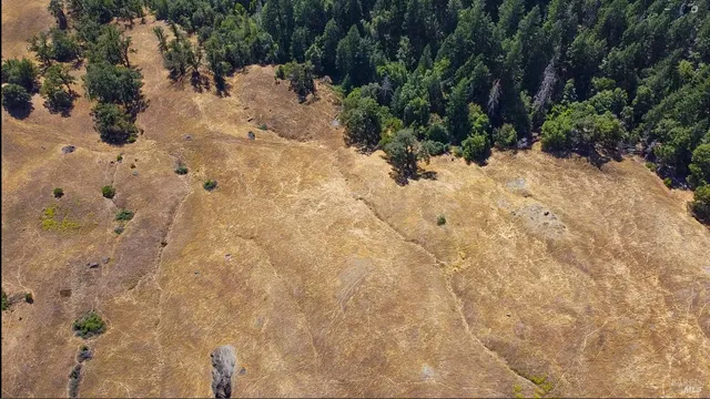 a view of a backyard of the house