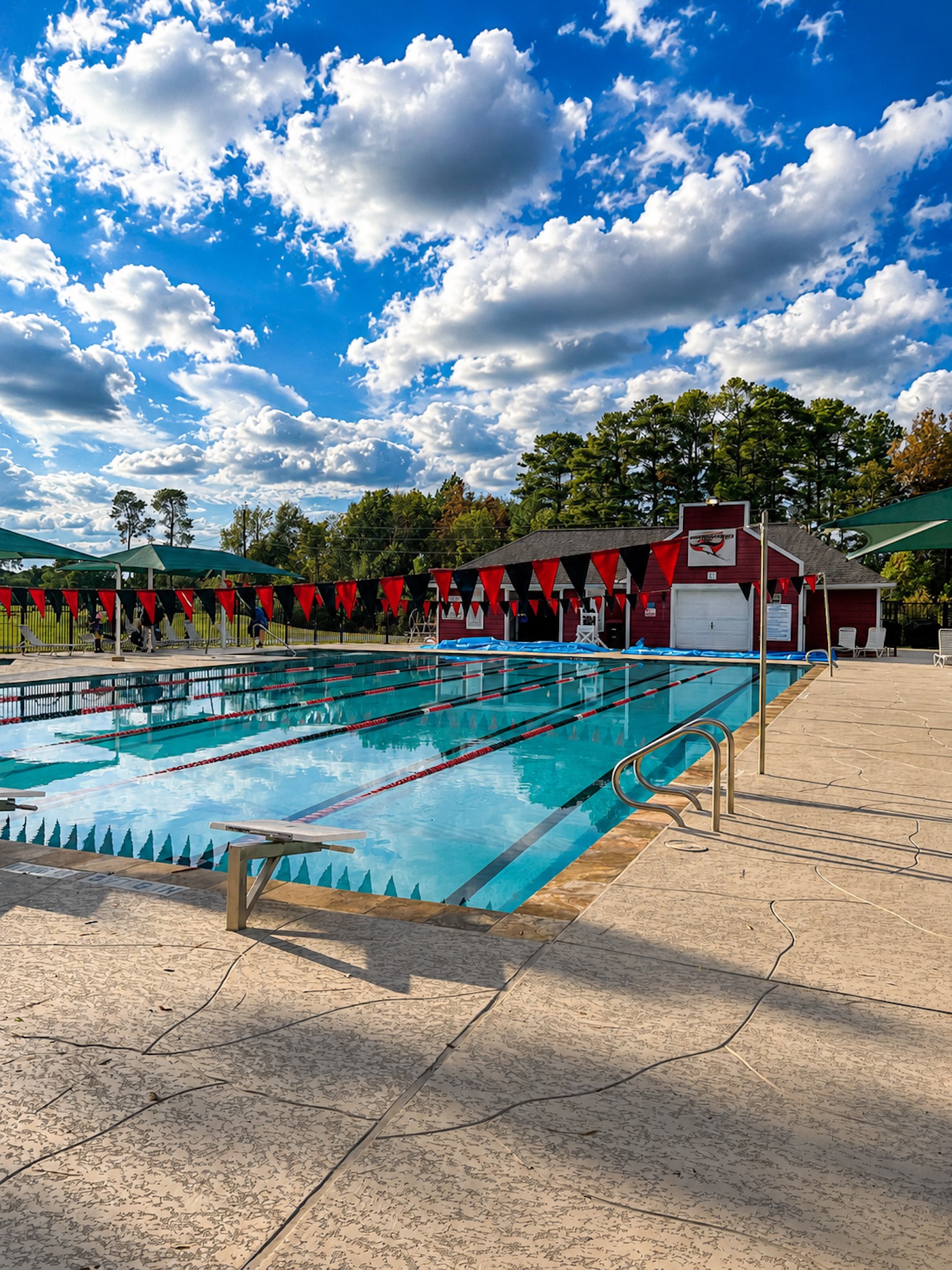 5718 Oakmoss Trail Spring, TX 77379 - Photo 45 of 47 Community pool where the WindRose Stingrays have the meets.