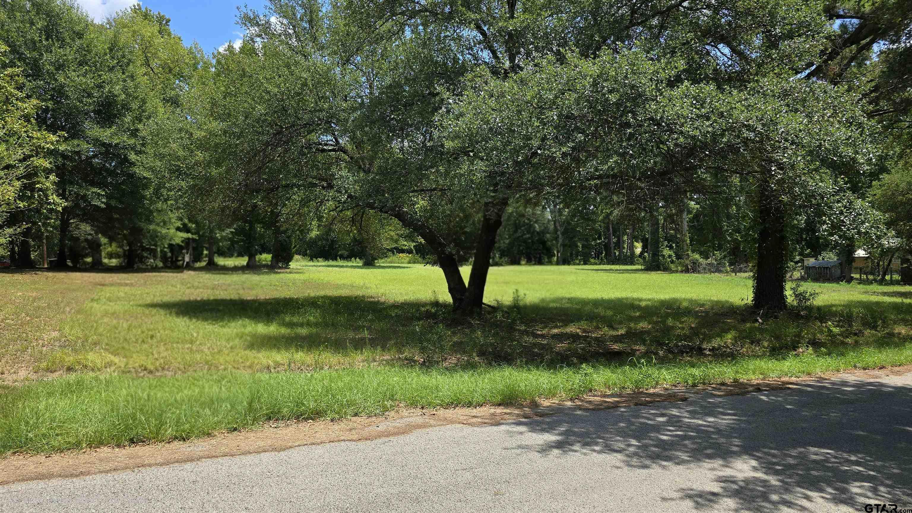 12456 North Pointe Road Winona, TX 75792 - Photo 3 of 4 Gallery Image 3