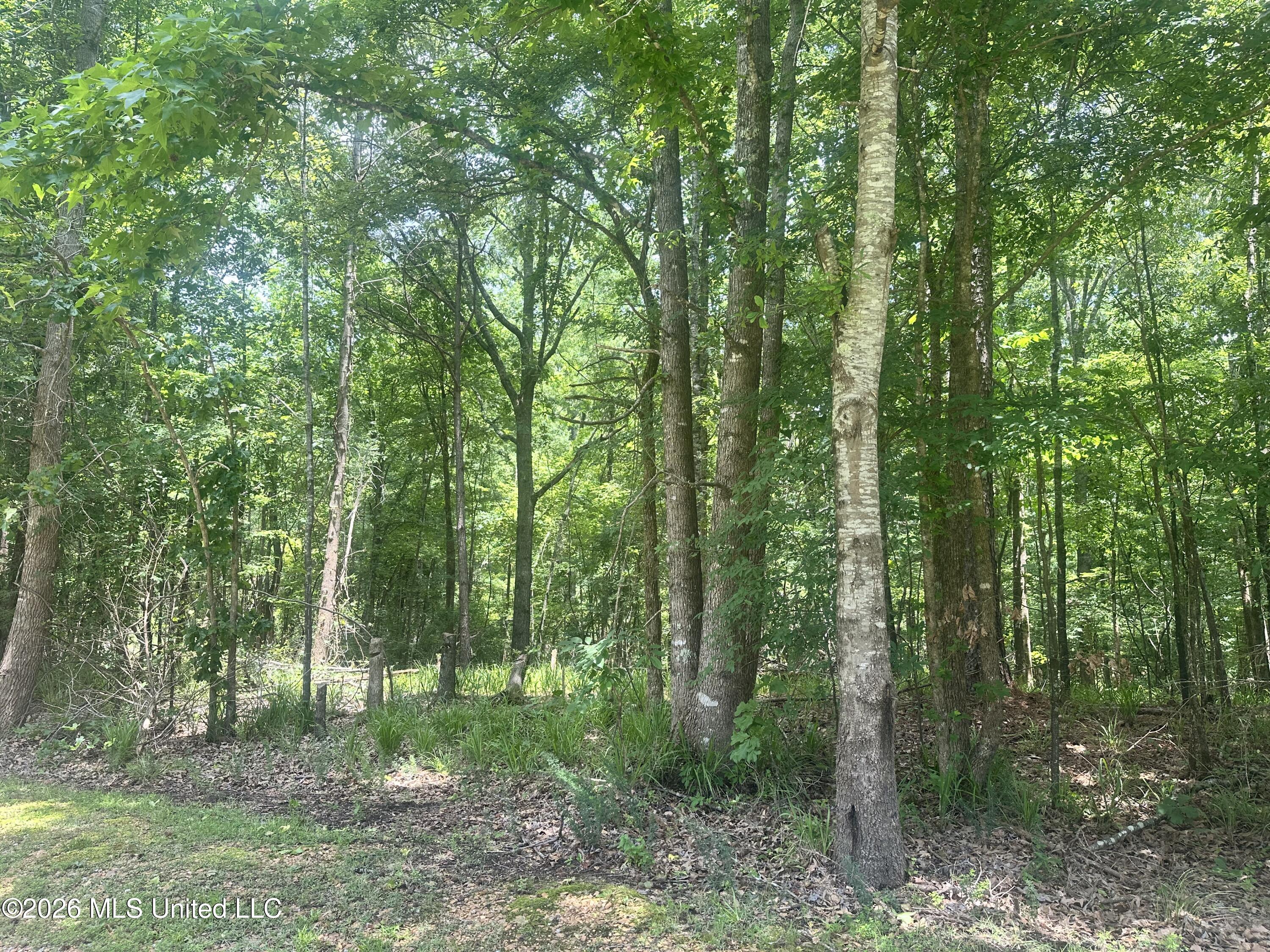 Lakeridge Road Grenada, MS 38901 - Photo 2 of 2 IMG_0294