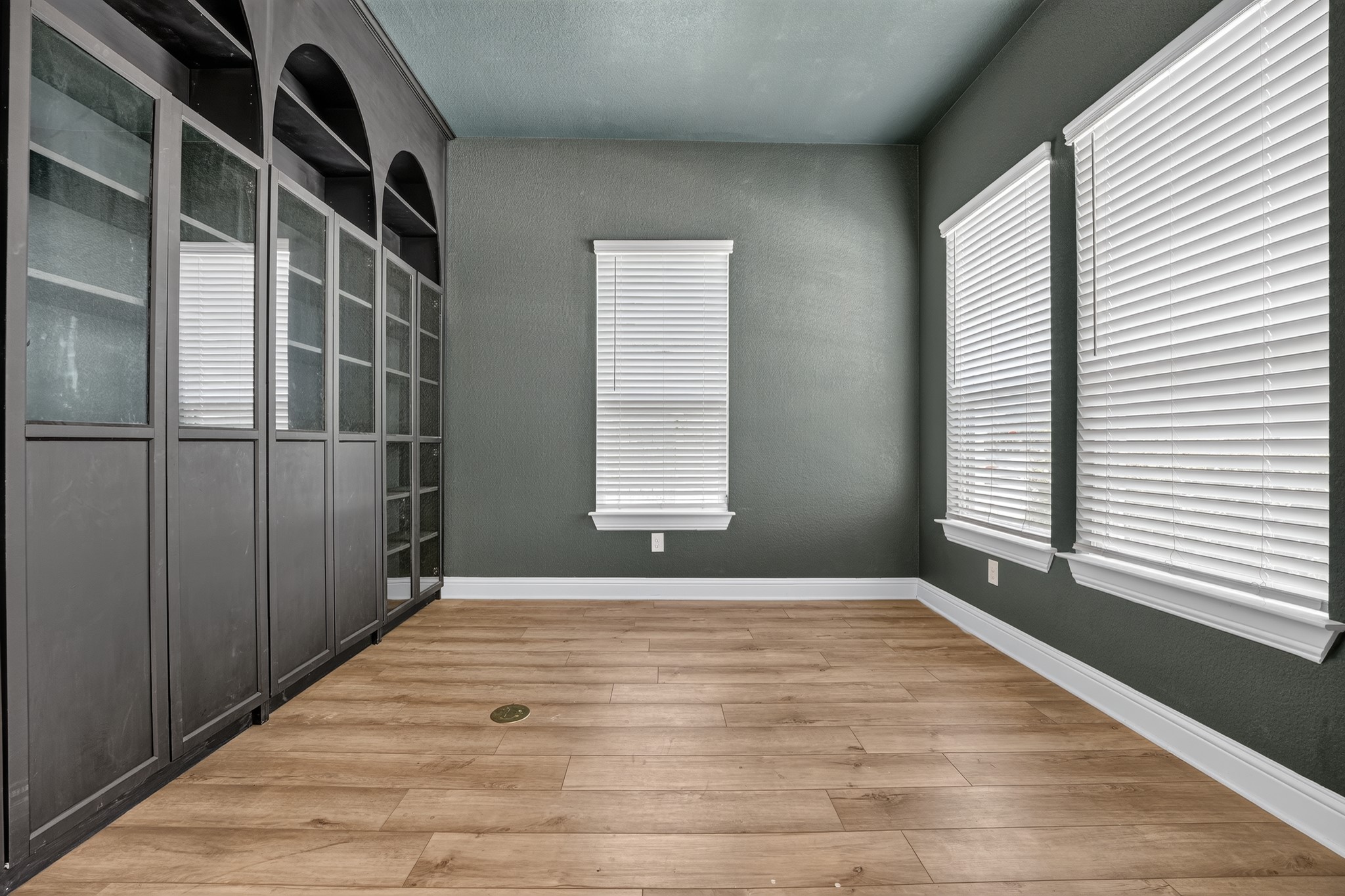 508 Pinnacle View Drive Georgetown, TX 78628 - Photo 23 of 27 Custom built-in shelving offers ample storage in this versatile room with durable plank flooring.