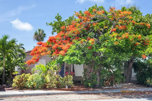 $849,000 | 3712 Duck Avenue, Key West, FL 33040