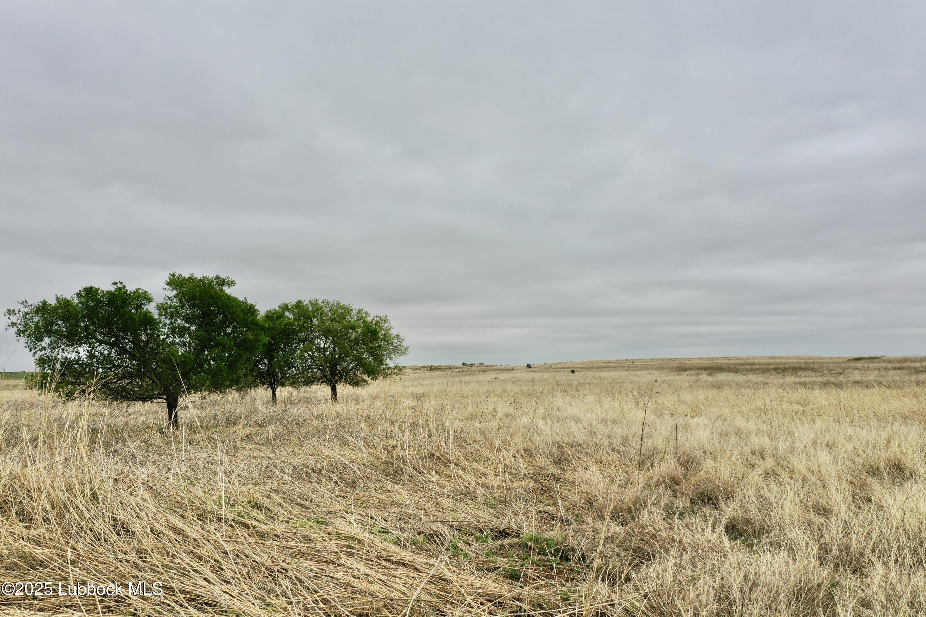 0 Co Road Turkey, TX 79261 - Photo 11 of 36 DJI_0504