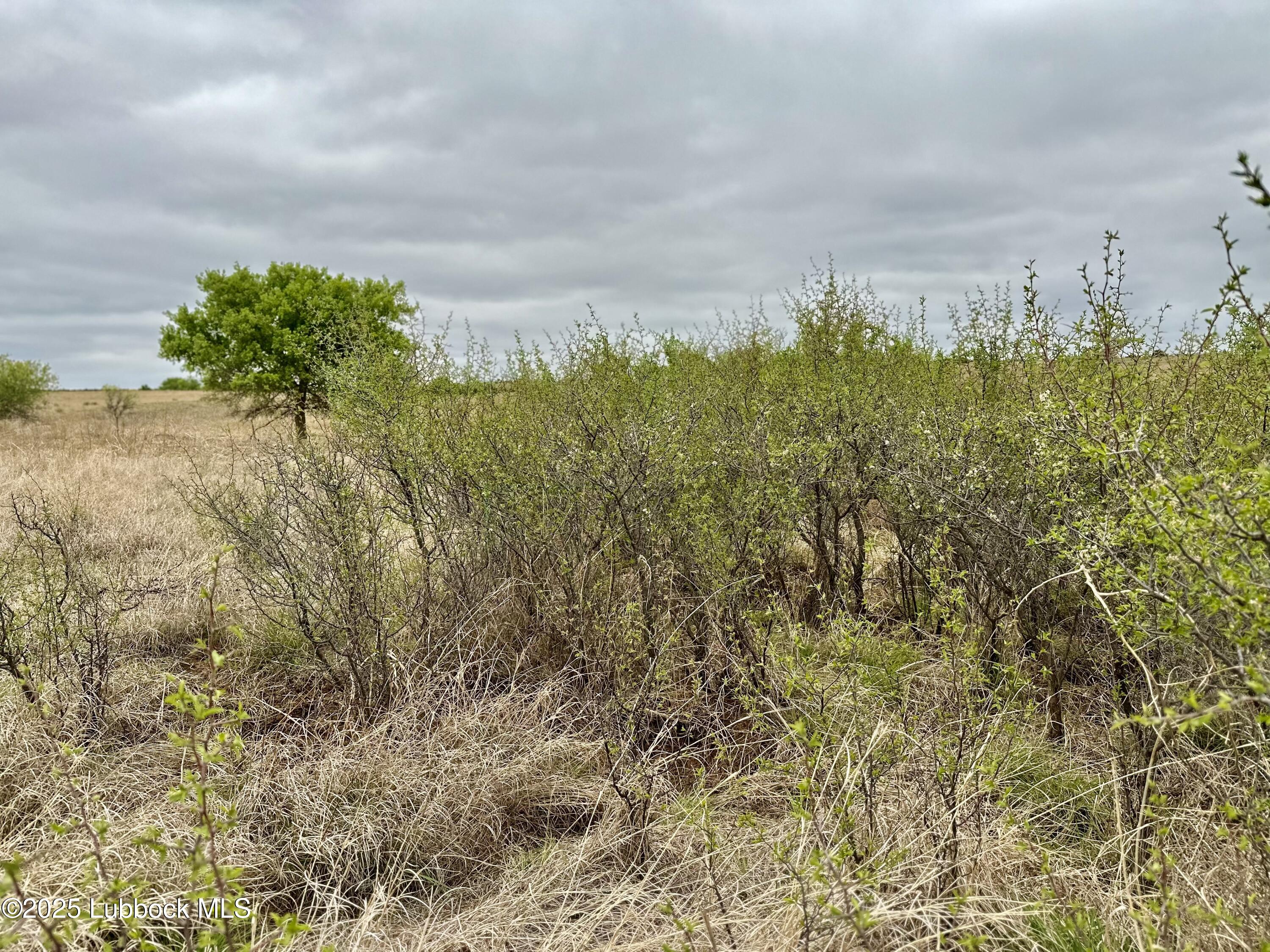 0 Co Road Turkey, TX 79261 - Photo 25 of 36 IMG_4389