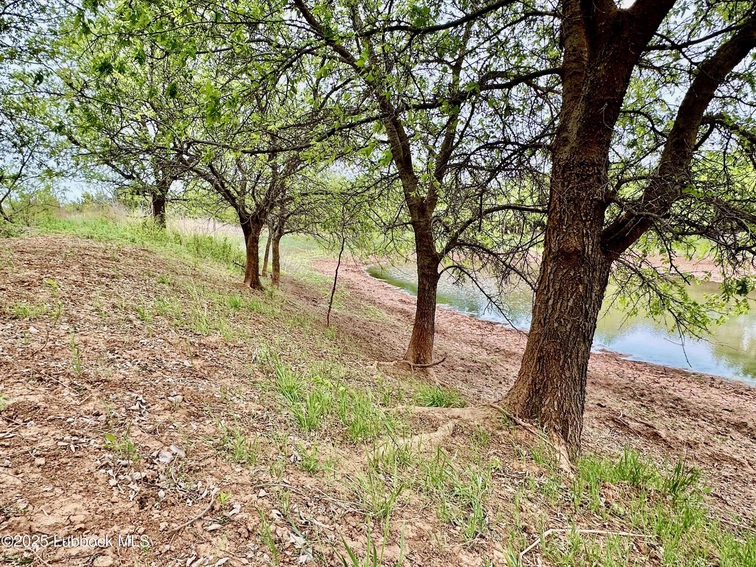 0 Co Road Turkey, TX 79261 - Photo 29 of 36 IMG_4395