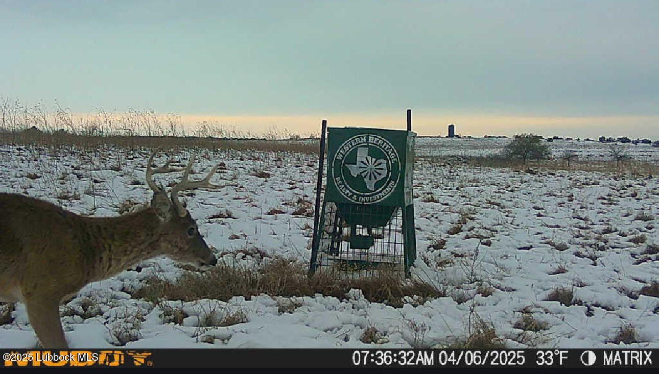 0 Co Road Turkey, TX 79261 - Photo 32 of 36 IMG_4416