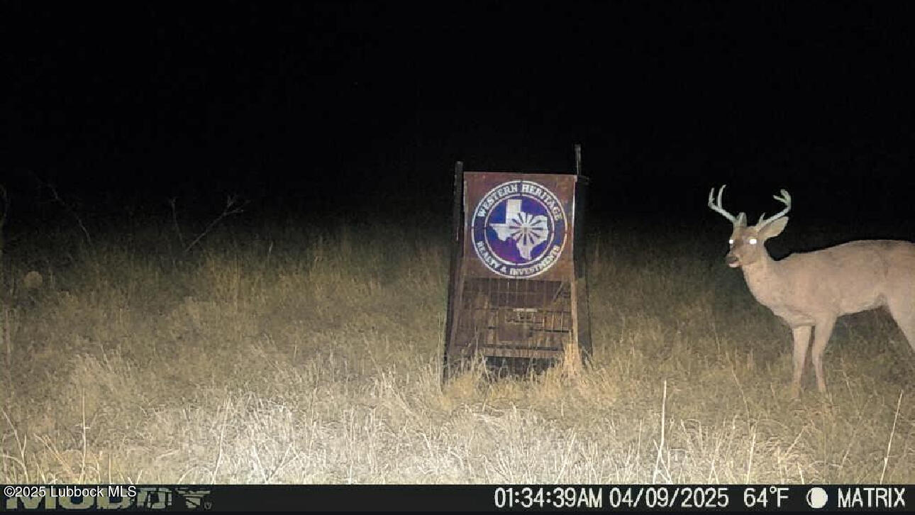 0 Co Road Turkey, TX 79261 - Photo 35 of 36 IMG_4419