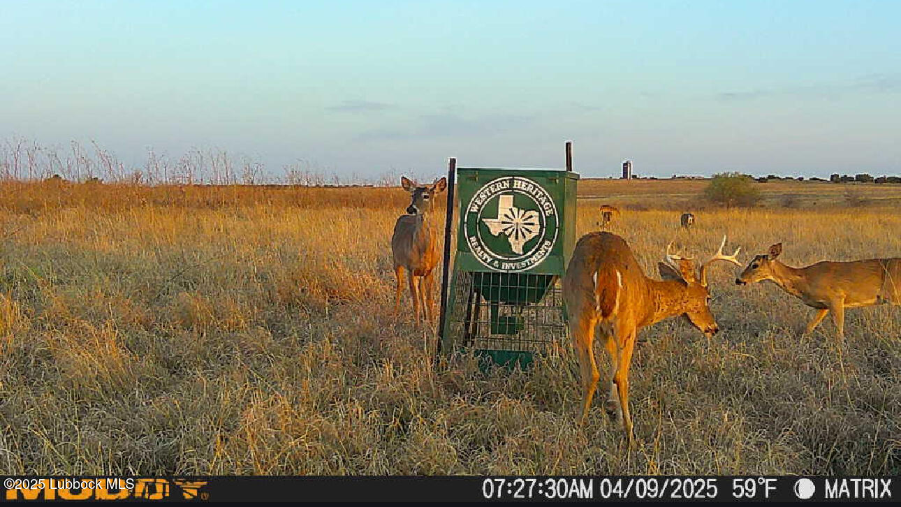 0 Co Road Turkey, TX 79261 - Photo 36 of 36 IMG_4420