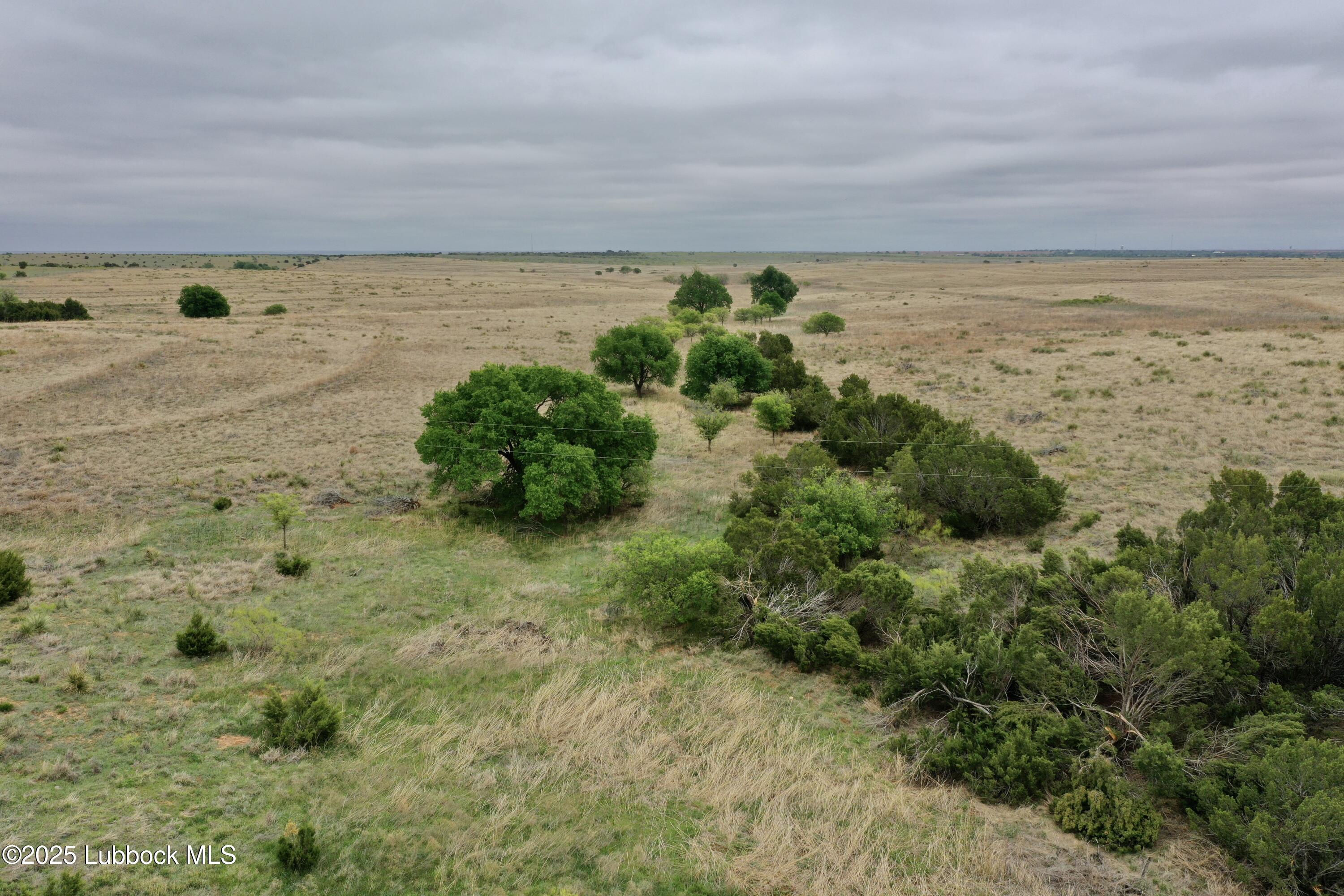 0 Co Road Turkey, TX 79261 - Photo 5 of 36 DJI_0493