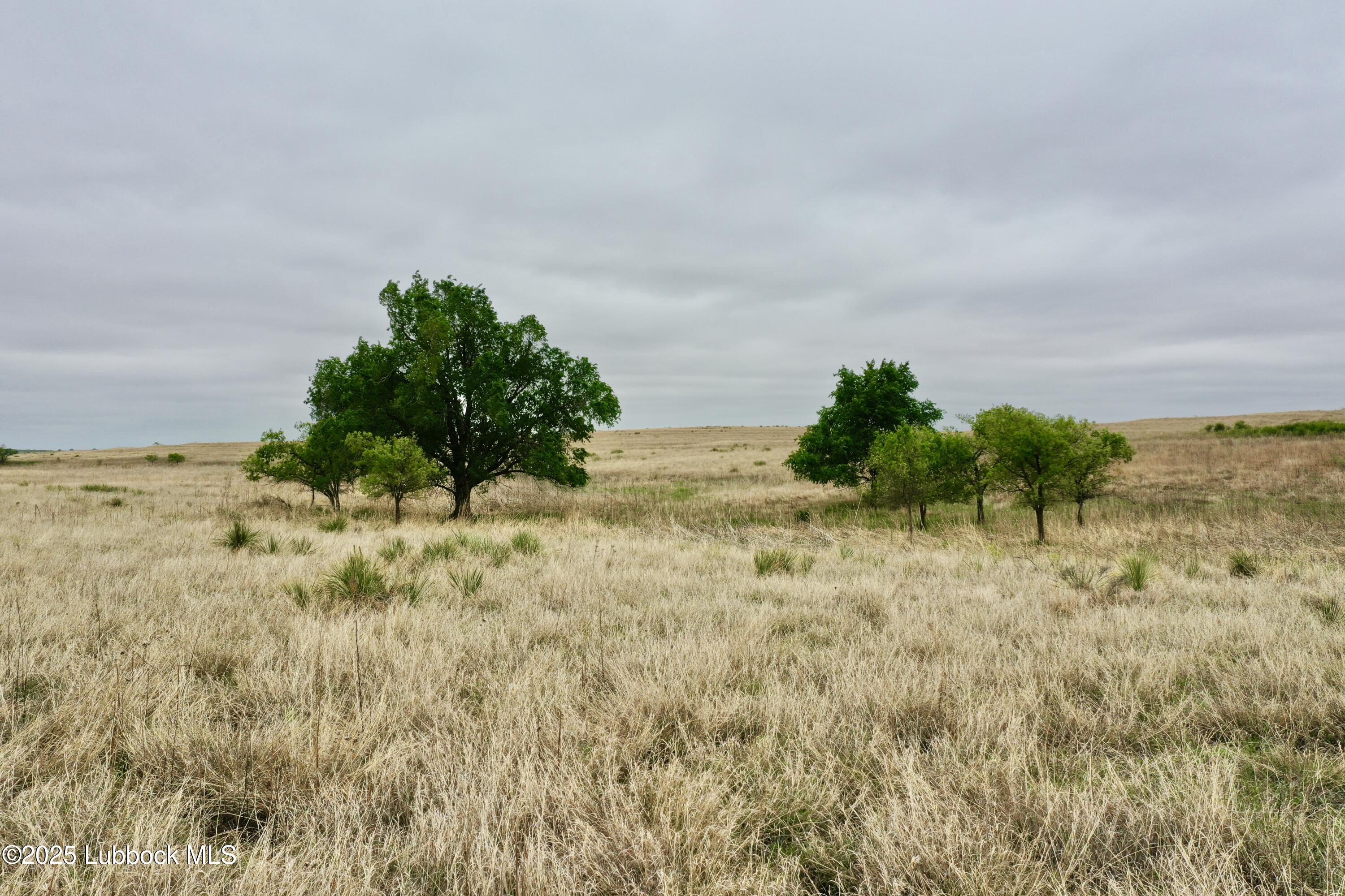 0 Co Road Turkey, TX 79261 - Photo 7 of 36 DJI_0497