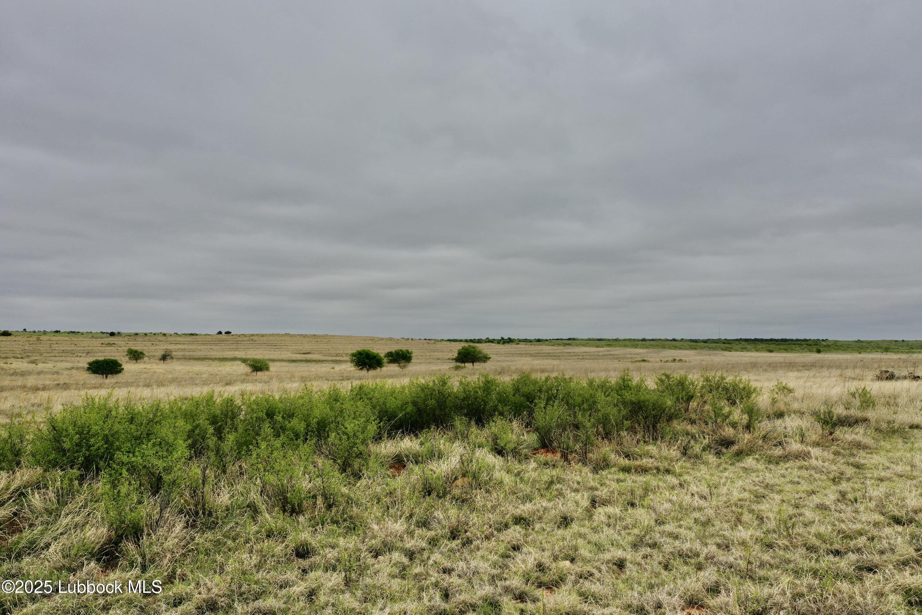 0 Co Road Turkey, TX 79261 - Photo 10 of 36 DJI_0503
