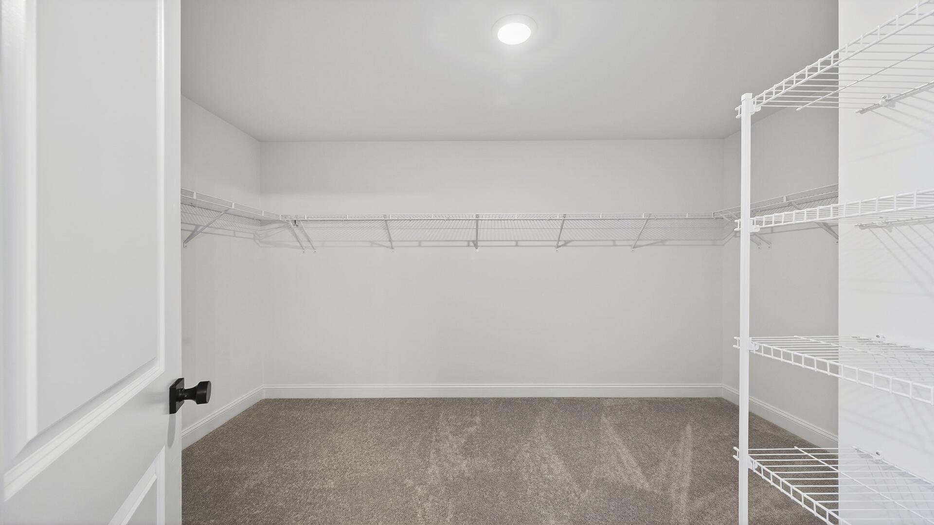 470 Cadbury Loop Summerville, SC 29486 - Photo 22 of 28 Primary Closet(1)