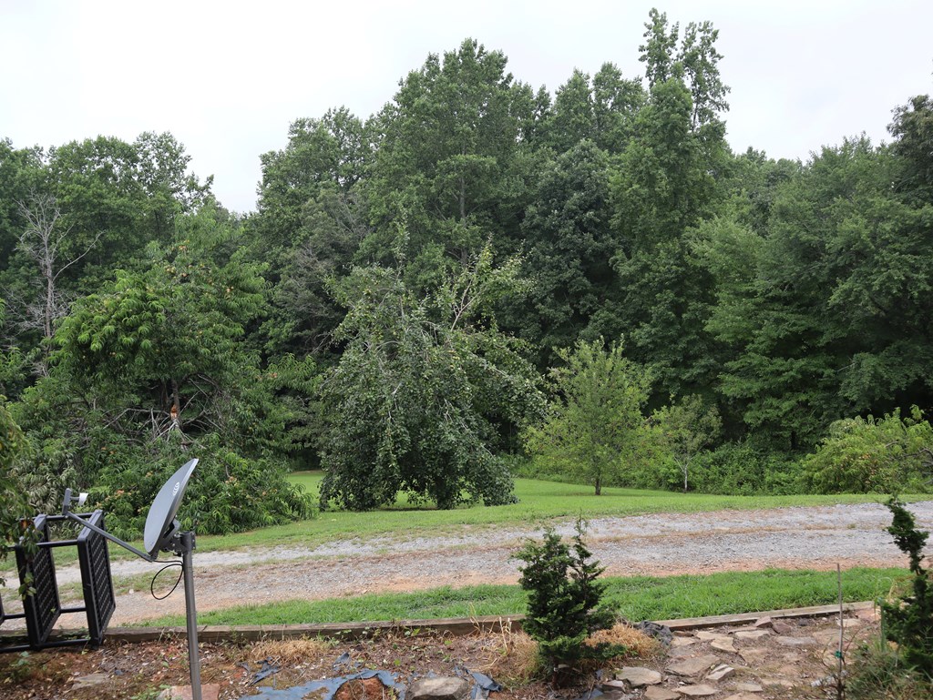8249 Boardtown Road Ellijay, GA 30540 - Photo 12 of 71